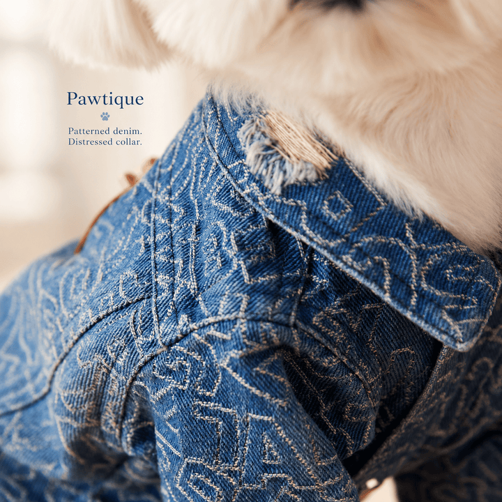 Pawtique Distressed Denim Dog Jacket - Pawtique