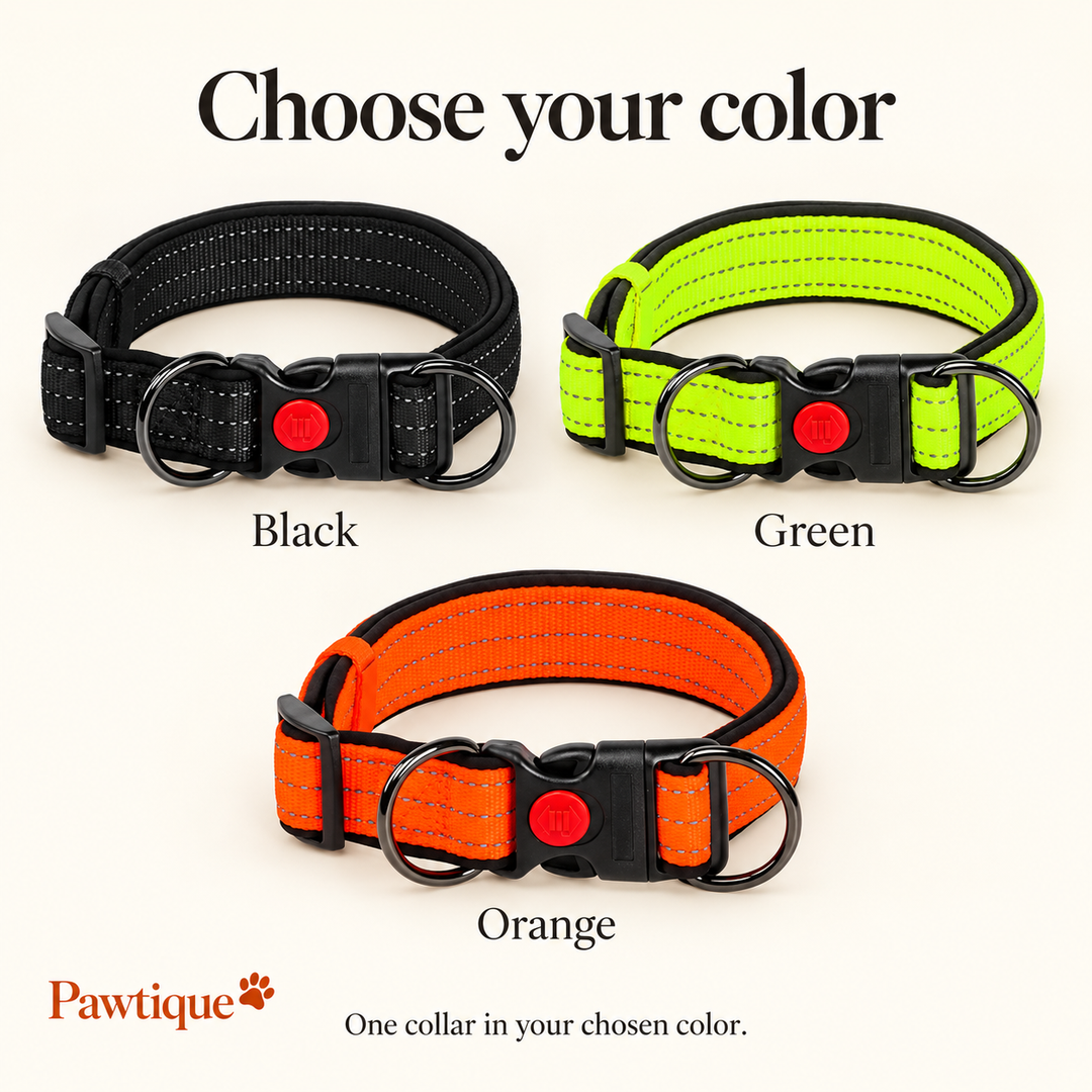 Black, Green and Orange collar color choices; one collar per selection