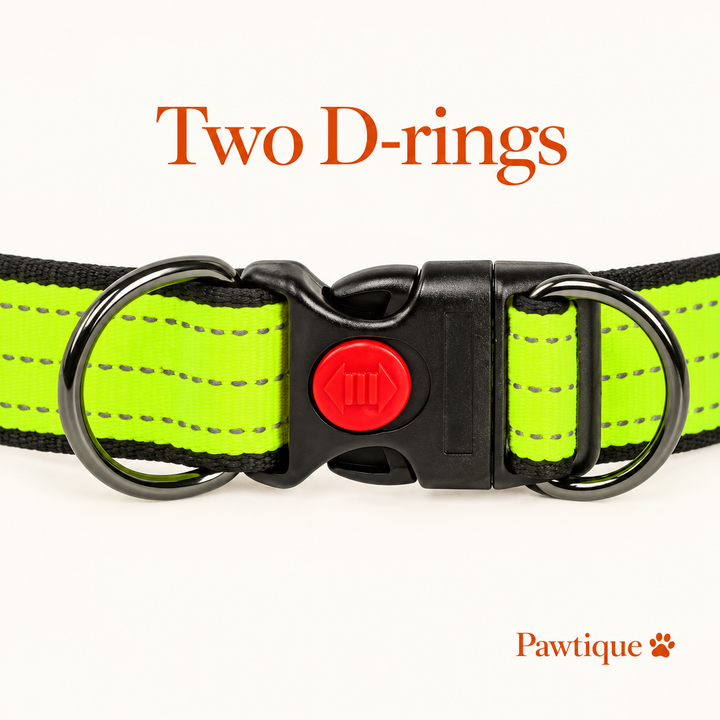 Two D-rings beside the buckle on the green reflective dog collar