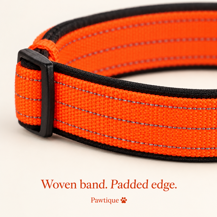 Orange woven collar band with gray stitch rows and black padded edging