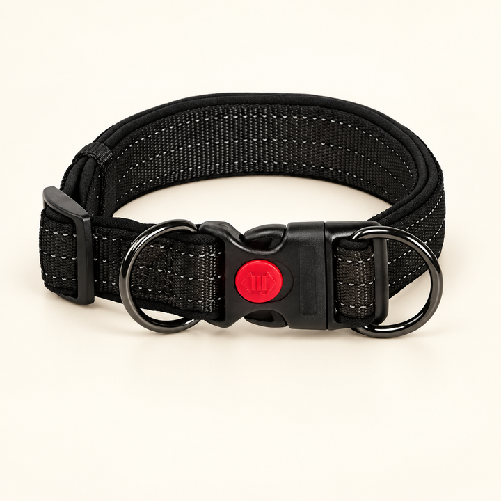 Black reflective dog collar with two D-rings and red sliding-lock buckle on cream