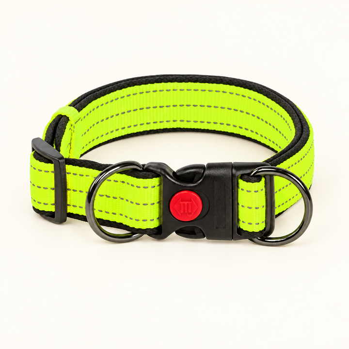 Green reflective dog collar with double D-rings on cream