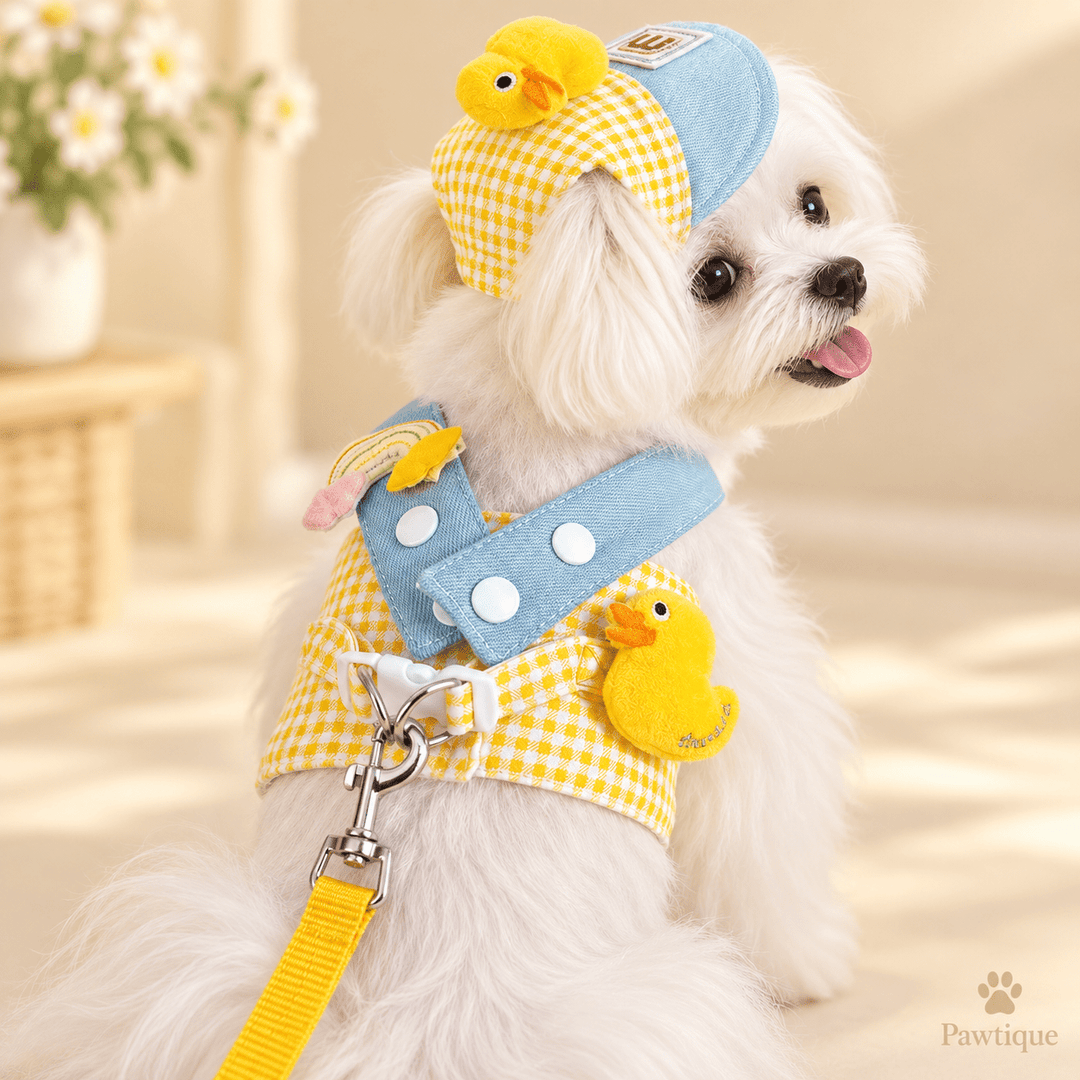 Pawtique Duckling Days™ Harness, Leash &amp; Cap Set - Pawtique