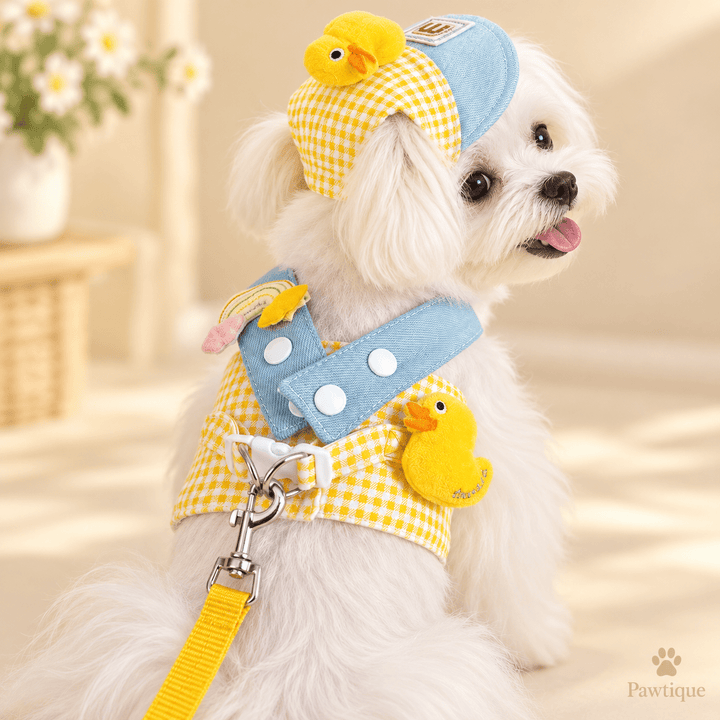 Pawtique Duckling Days™ Harness, Leash &amp; Cap Set - Pawtique