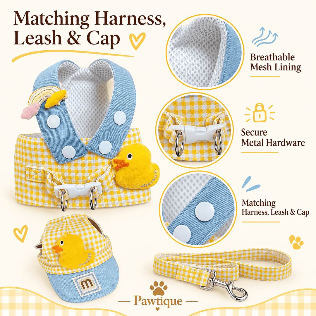 Pawtique Duckling Days™ Harness, Leash &amp; Cap Set - Pawtique