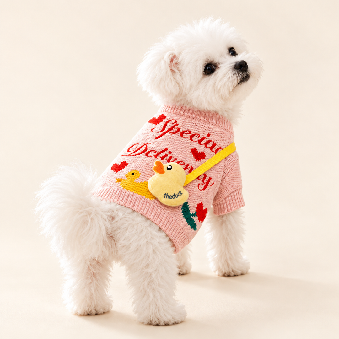 Pawtique Duckling Knit sweater — AI-styled dog-model view