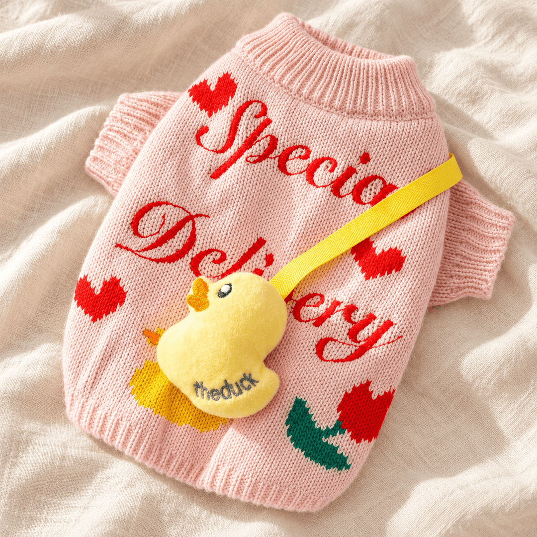 Pawtique Duckling Knit Pet Sweater - Pawtique
