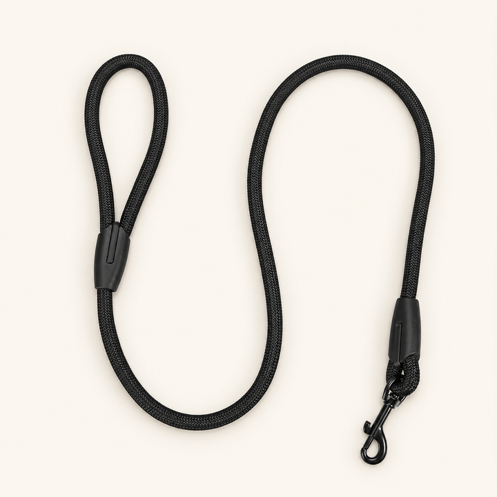 Black Easy Control rope dog leash on cream background
