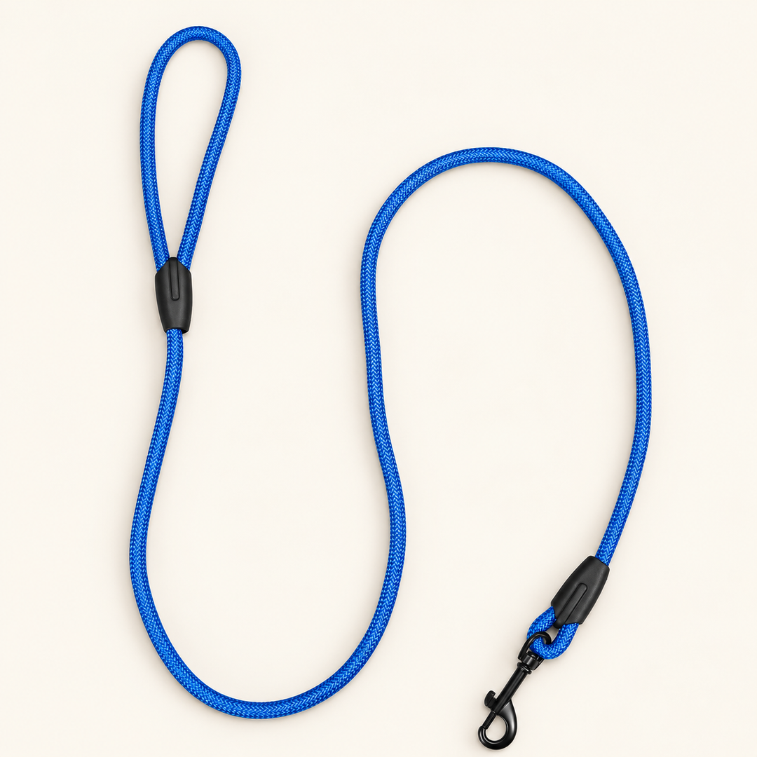 Blue Easy Control rope dog leash on cream background