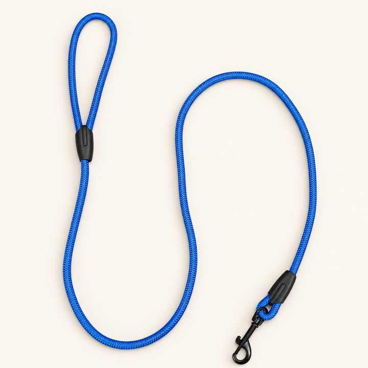 Blue Easy Control rope dog leash on cream background