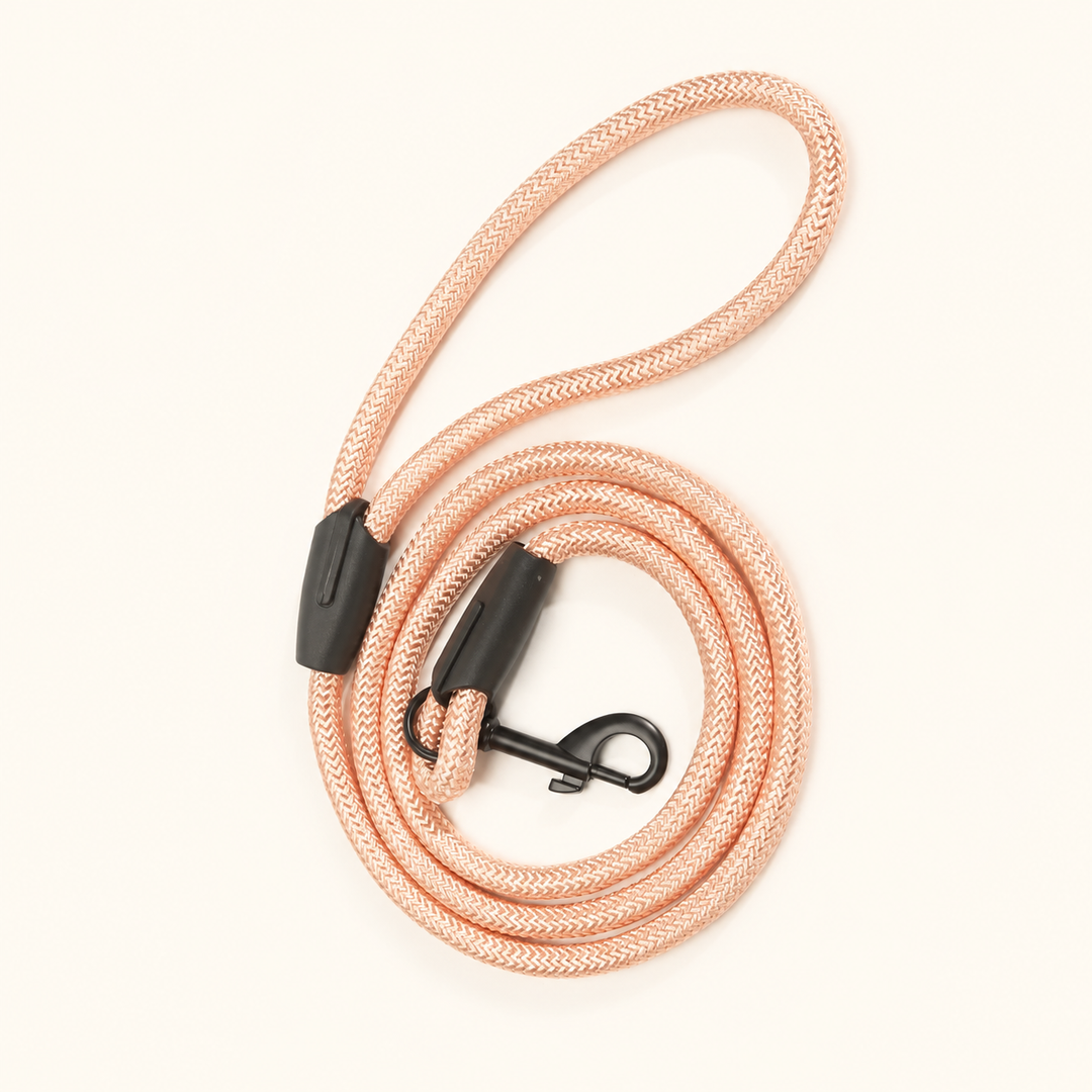 Pink Pawtique Easy Control rope dog leash with loop handle and black snap hook