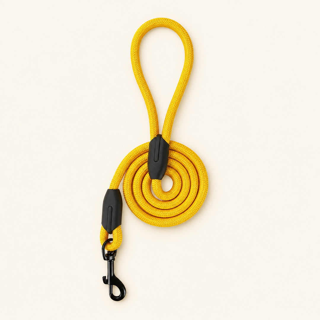 Yellow Easy Control rope dog leash on cream background