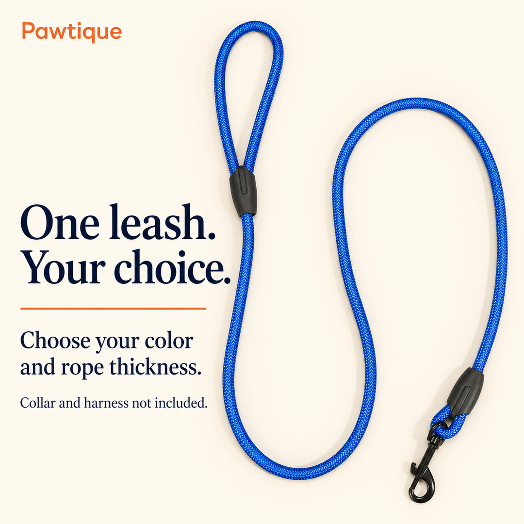 One blue rope dog leash; choose color and thickness; collar and harness not included