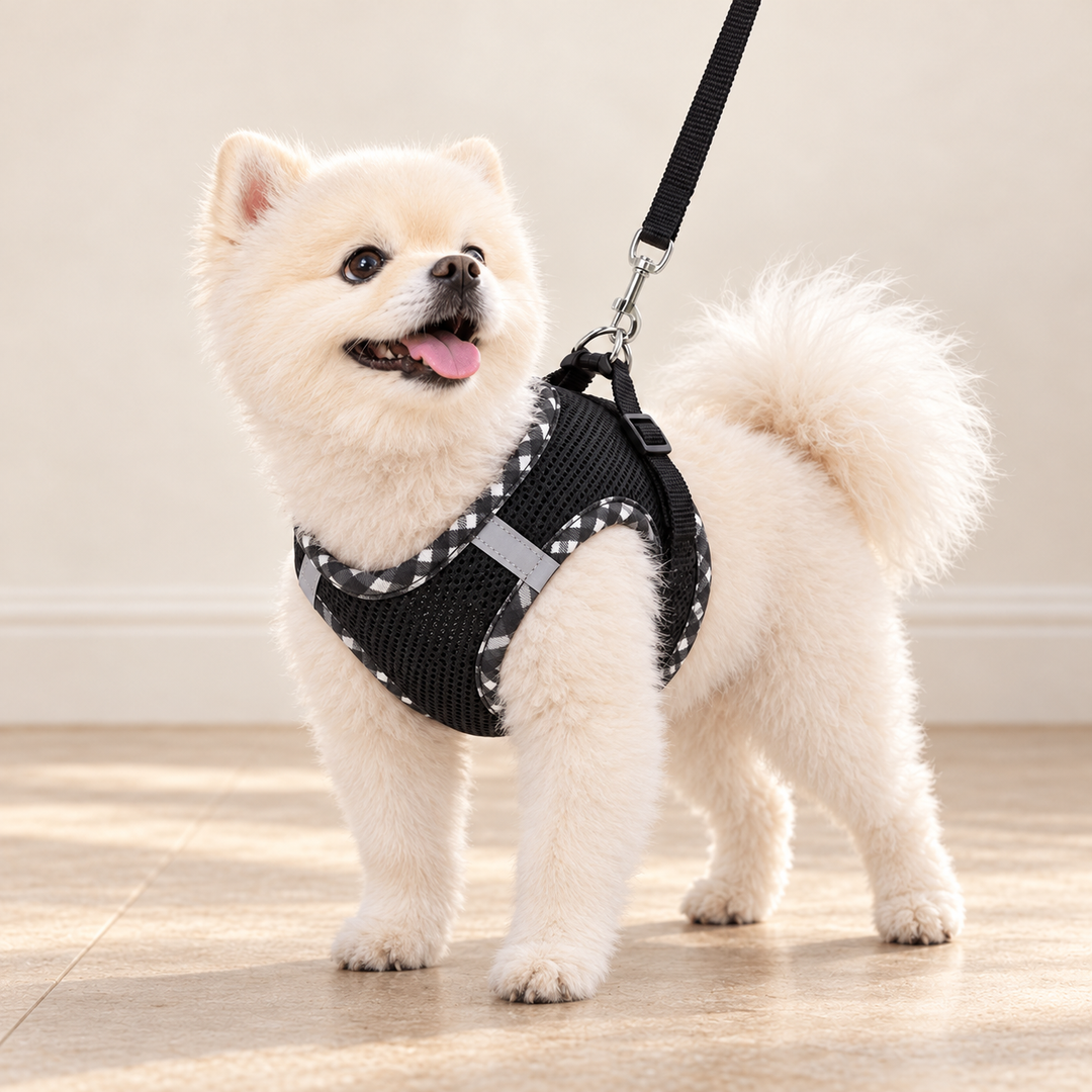 White dog wearing the black EasyFit mesh step-in harness with checked trim