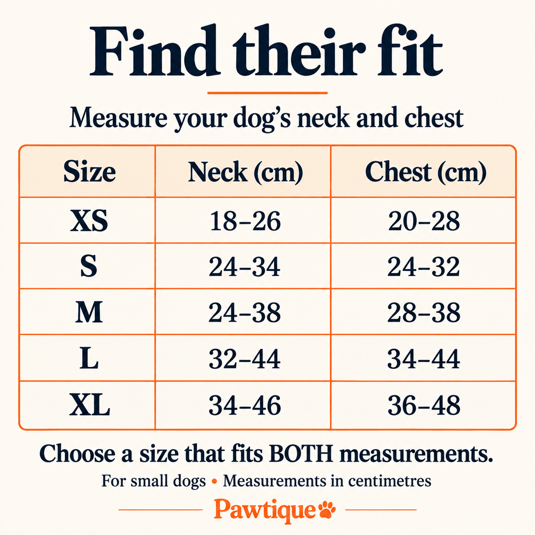 Pawtique EasyFit™ Reflective Mesh Step-In Dog Harness - Pawtique