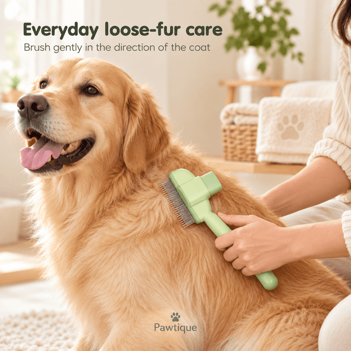 Pawtique EasyRelease™ Self-Cleaning Slicker Brush - Pawtique