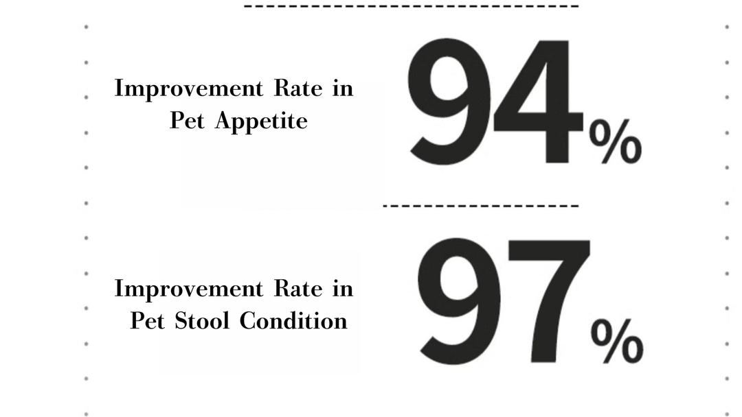 [PAWTIQUE ESSENTIAL] Lactic Acid Bacteria mouthwash for dogs and cats - Pawtique