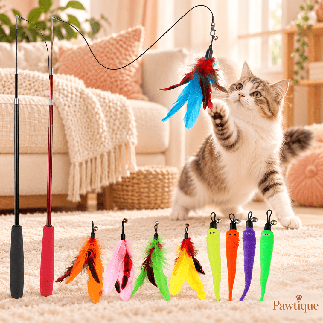 Pawtique FeatherChase™ Telescoping Cat Wand Set - Pawtique