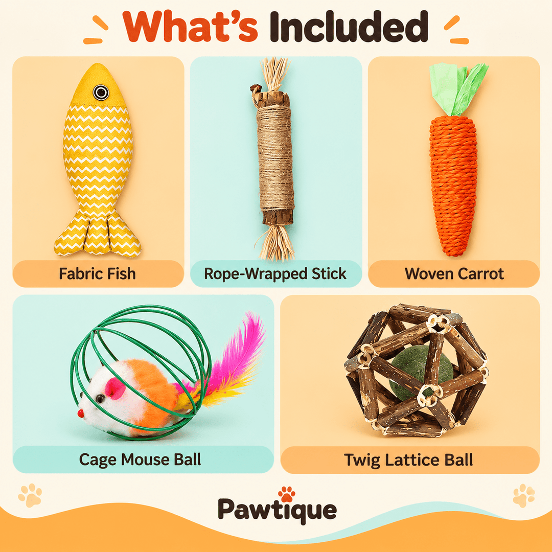 Pawtique Five-Piece Interactive Cat Toy Set - Pawtique