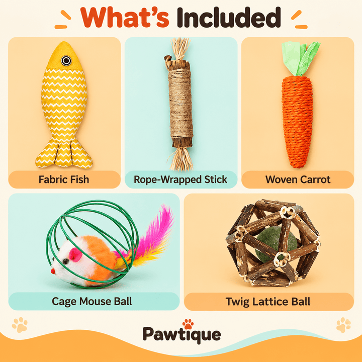 Pawtique Five-Piece Interactive Cat Toy Set - Pawtique