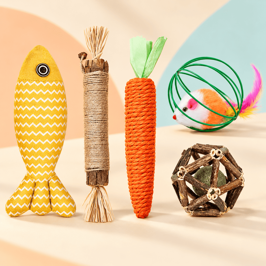 Pawtique Five-Piece Interactive Cat Toy Set - Pawtique