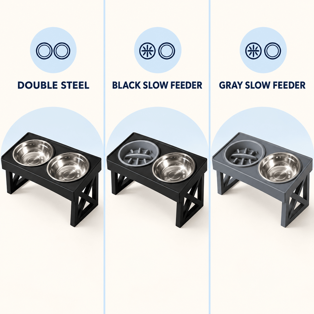 Pawtique FlexFeast 3-Height Double Pet Bowl - Pawtique