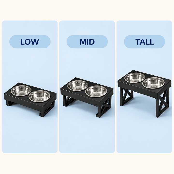 Pawtique FlexFeast 3-Height Double Pet Bowl - Pawtique