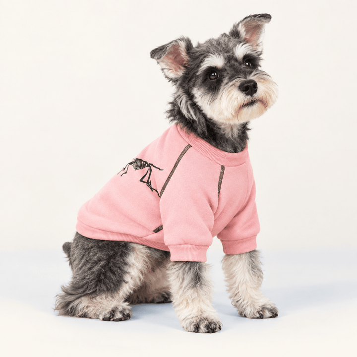 Pawtique FossilTrail™ Fleece Dog Sweatshirt - Pawtique