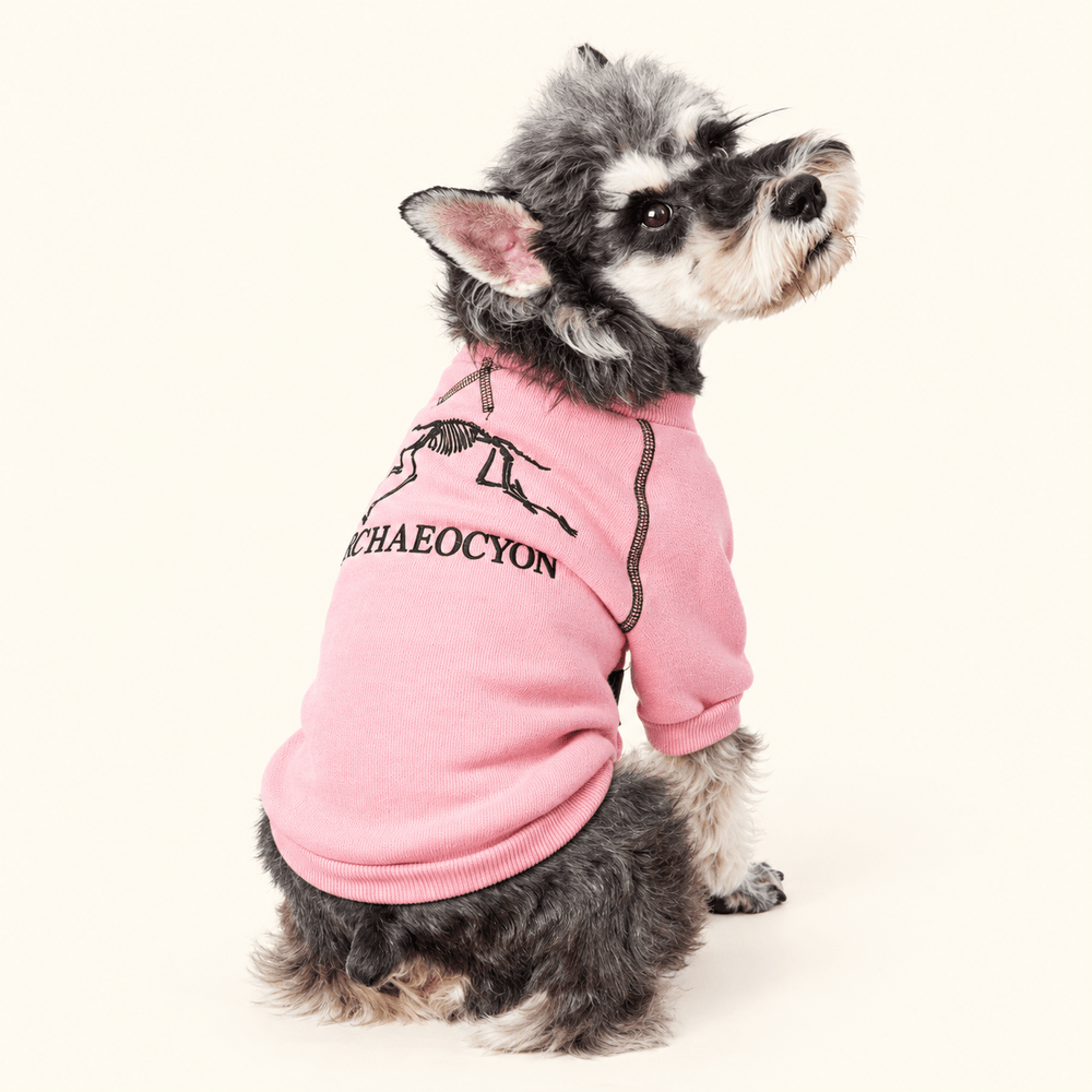 Pawtique FossilTrail™ Fleece Dog Sweatshirt - Pawtique
