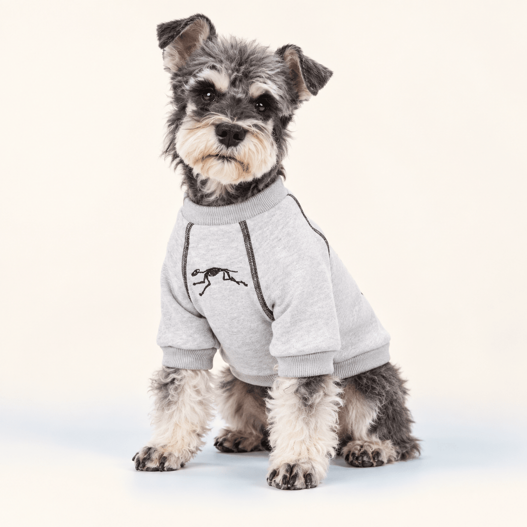 Pawtique FossilTrail™ Fleece Dog Sweatshirt - Pawtique
