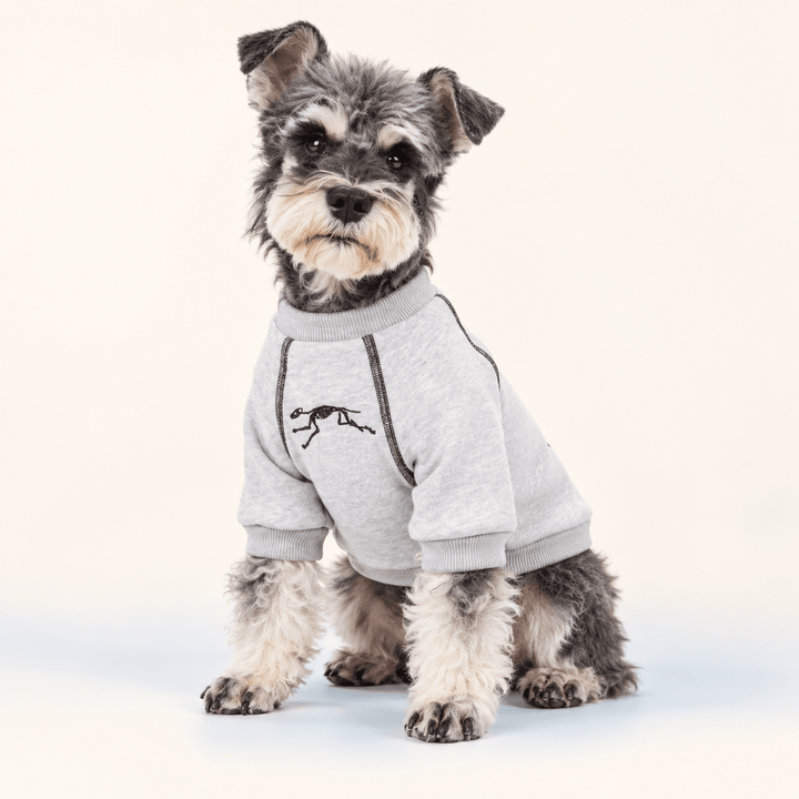Pawtique FossilTrail™ Fleece Dog Sweatshirt - Pawtique