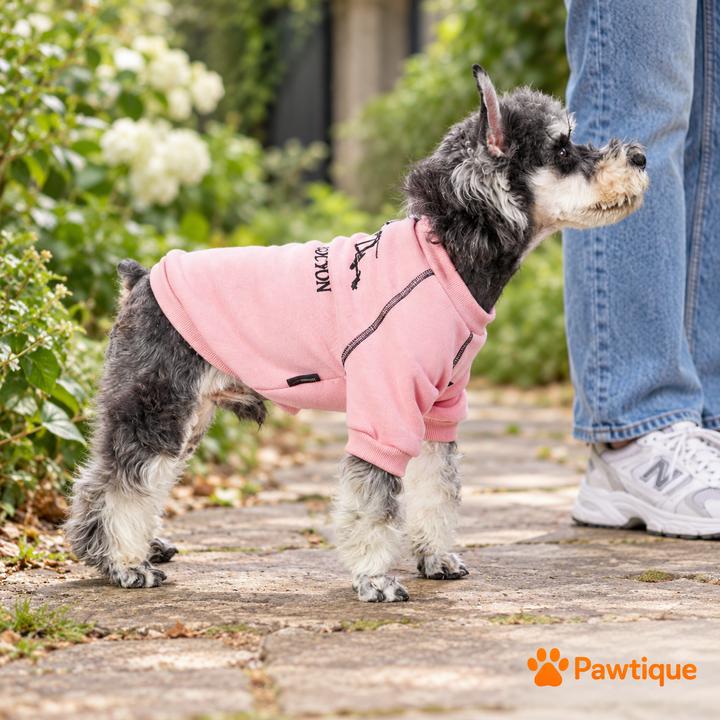 Pawtique FossilTrail™ Fleece Dog Sweatshirt - Pawtique
