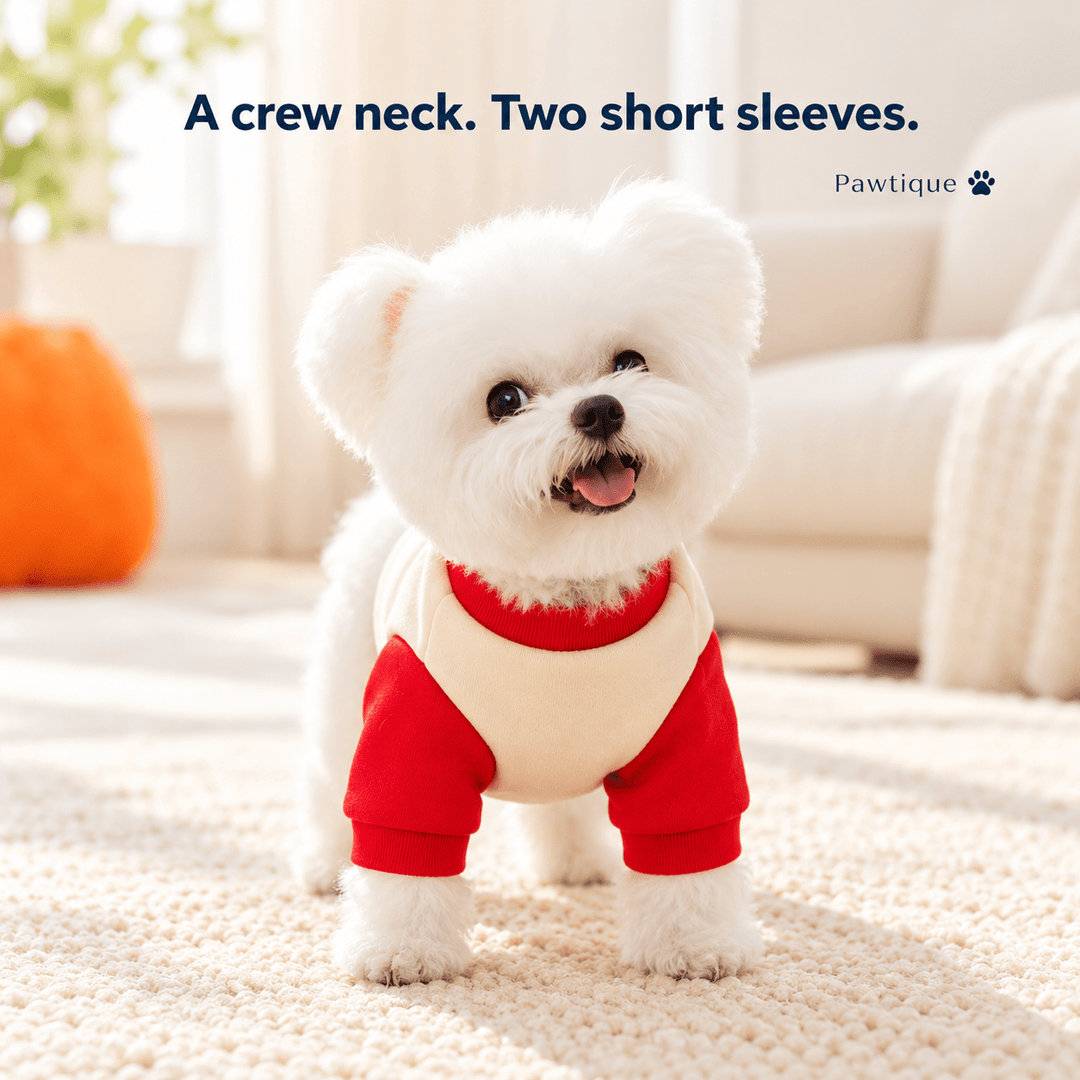 Pawtique French Fries Dog Sweatshirt - Pawtique