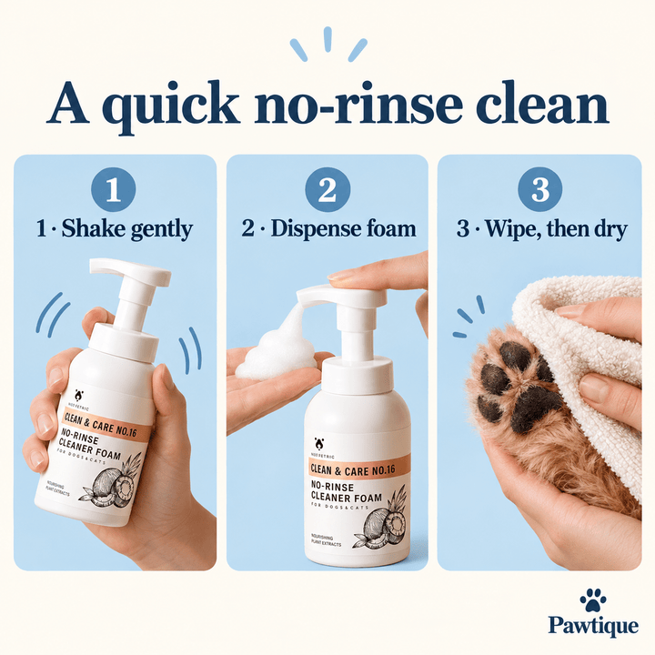 Pawtique FreshStep™ Coconut Oil No-Rinse Pet Cleansing Foam - Pawtique