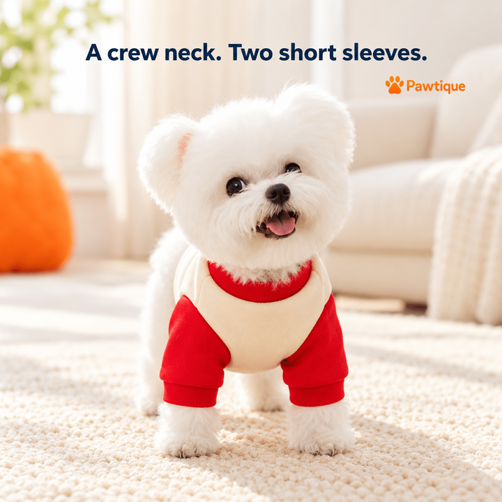 Crew neck and two short sleeves on dog