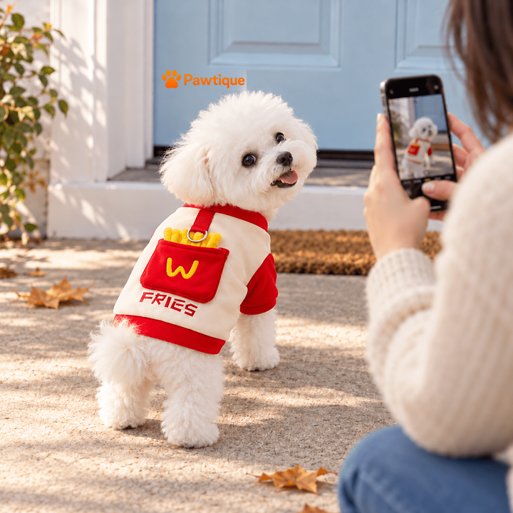 Dog posing at doorway for owner&
