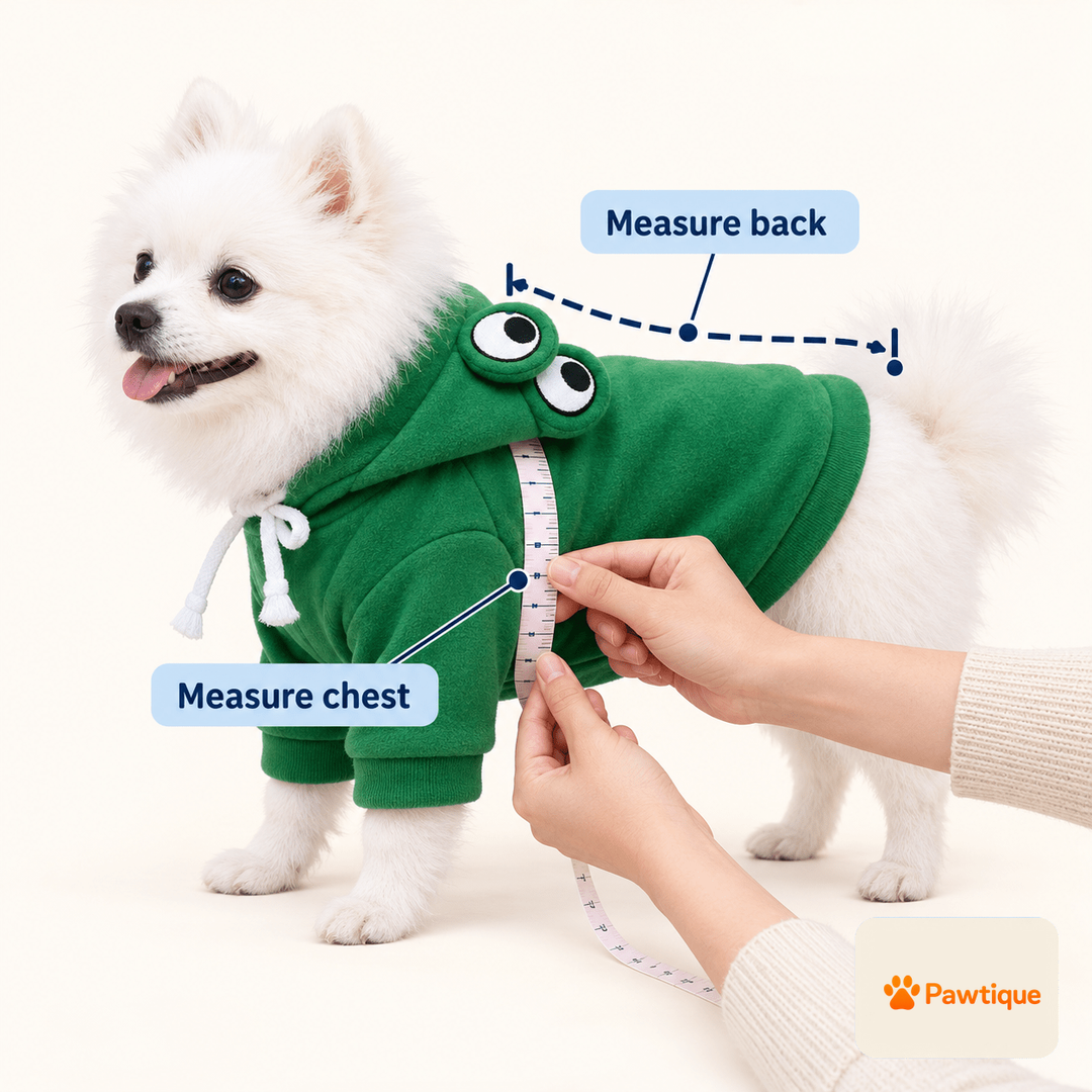 FrogHop existing measuring guide showing chest circumference and back length.