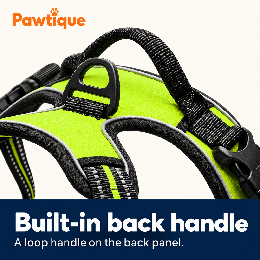 Pawtique front-clip adjustable dog harness – back handle