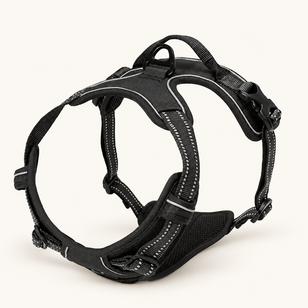 Pawtique front-clip adjustable dog harness – hero black