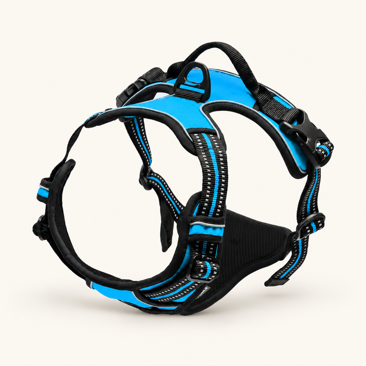 Pawtique front-clip adjustable dog harness – hero blue