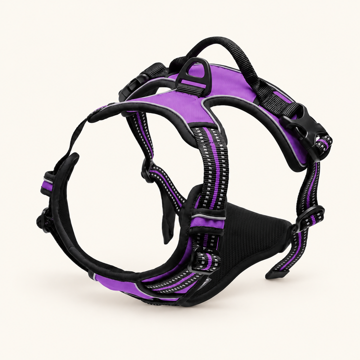 Pawtique front-clip adjustable dog harness – hero purple