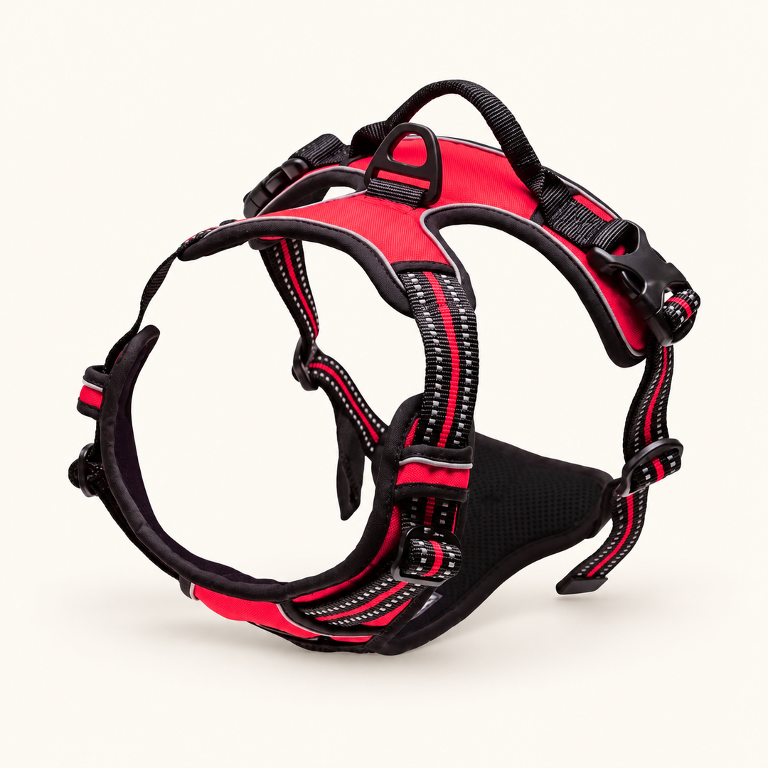 Pawtique front-clip adjustable dog harness – hero red