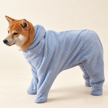 Pale-blue full-leg dog drying suit shown on a standing dog against a cream background.
