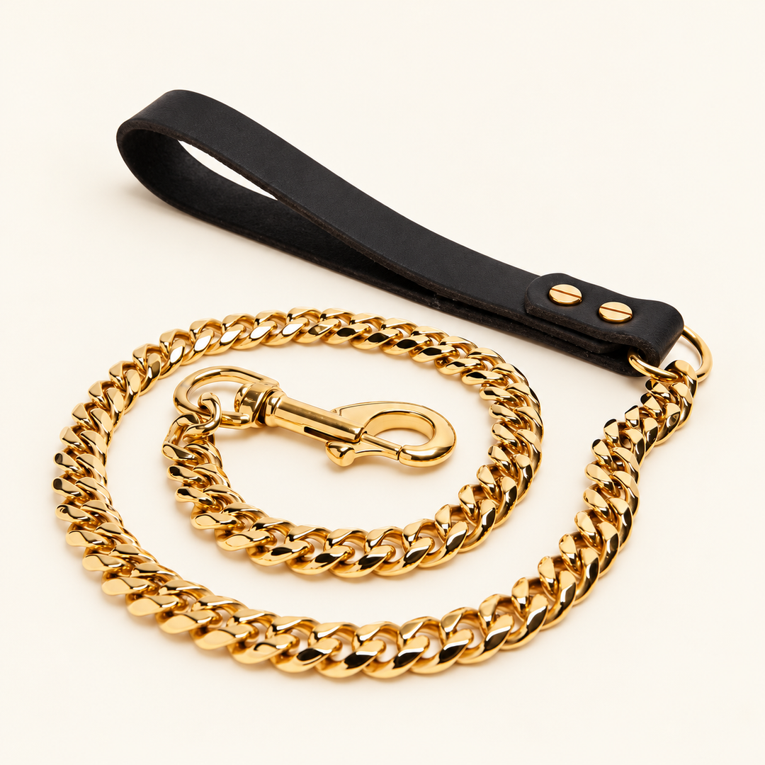 Gold Cuban chain dog leash with black leather loop handle on cream background