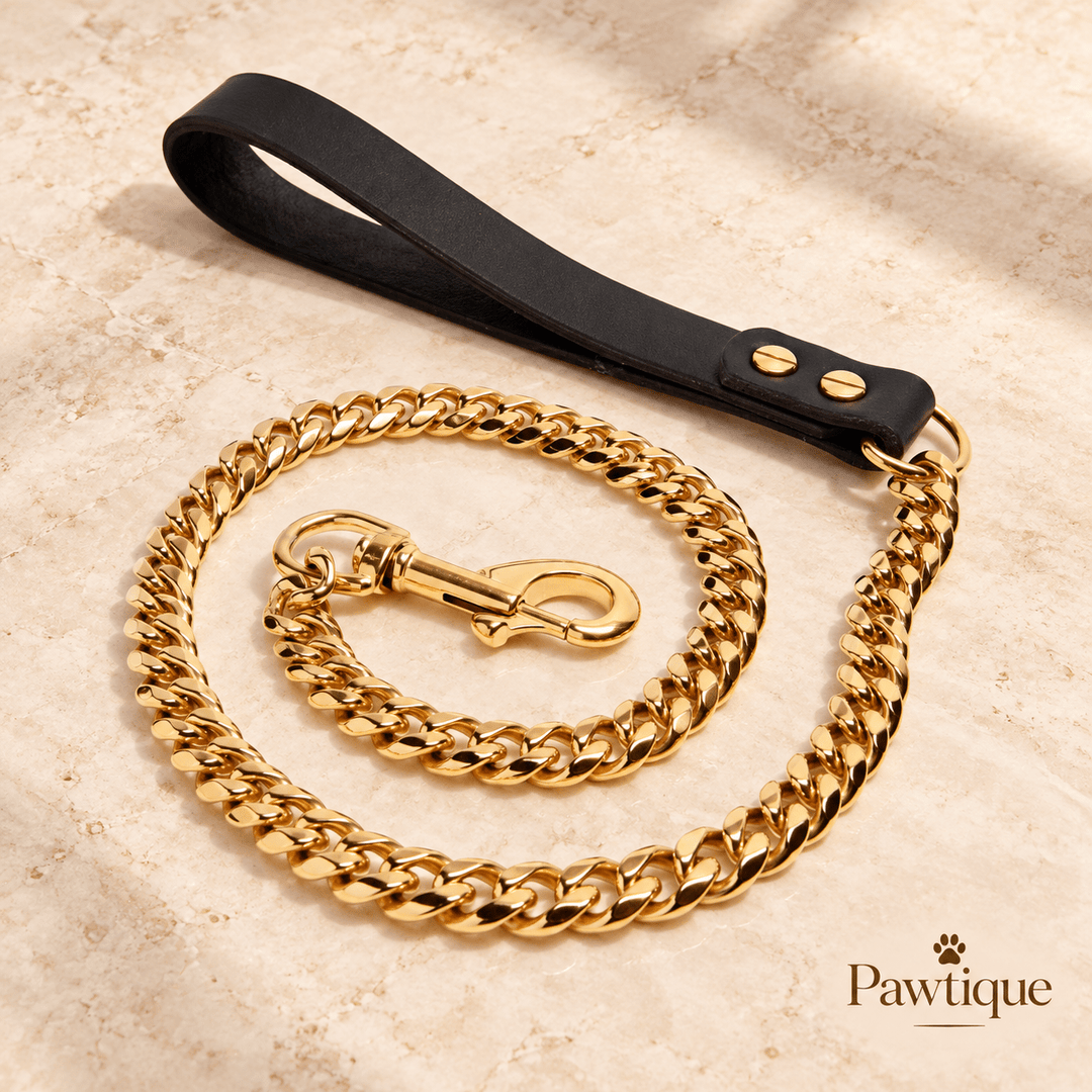 Pawtique GildedLink™ Cuban Chain Dog Leash - Pawtique