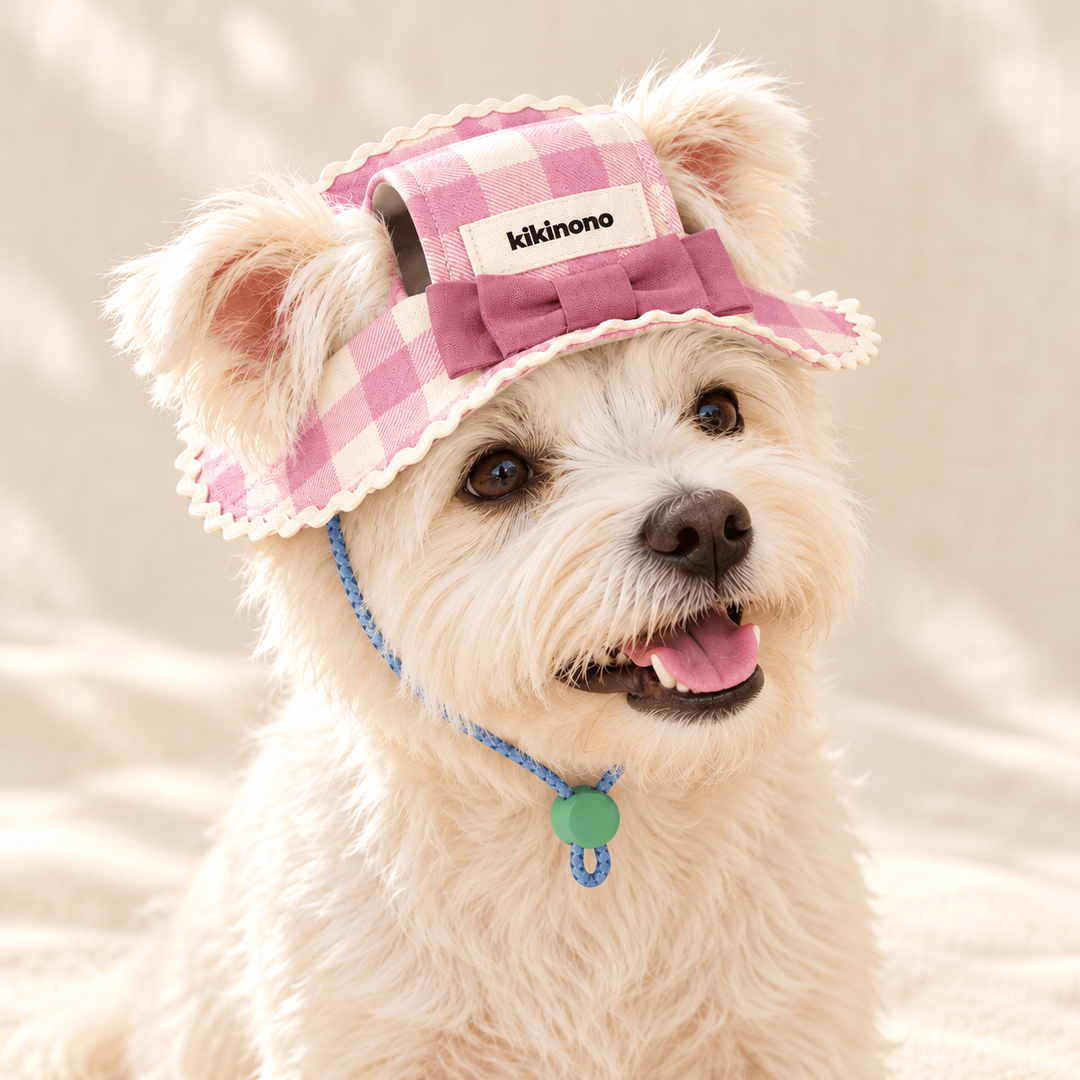 Gingham bow pet hat worn by a white dog, with blue chin cord and green slider