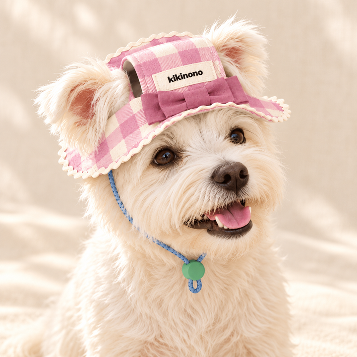 Gingham bow pet hat worn by a white dog, with blue chin cord and green slider