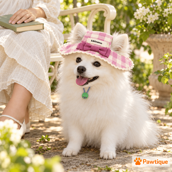 Dog wearing the gingham hat in a supervised garden moment