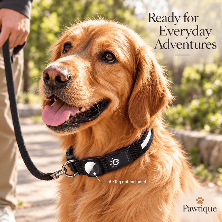 Pawtique GlowTrack™ LED Reflective AirTag Dog Collar - Pawtique