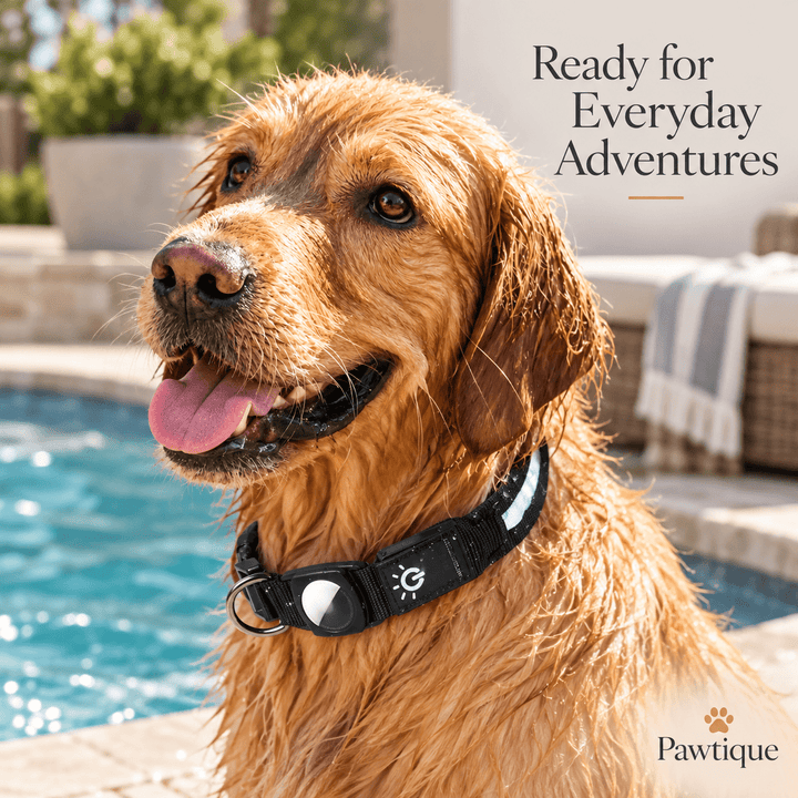 Pawtique GlowTrack™ LED Reflective AirTag Dog Collar - Pawtique